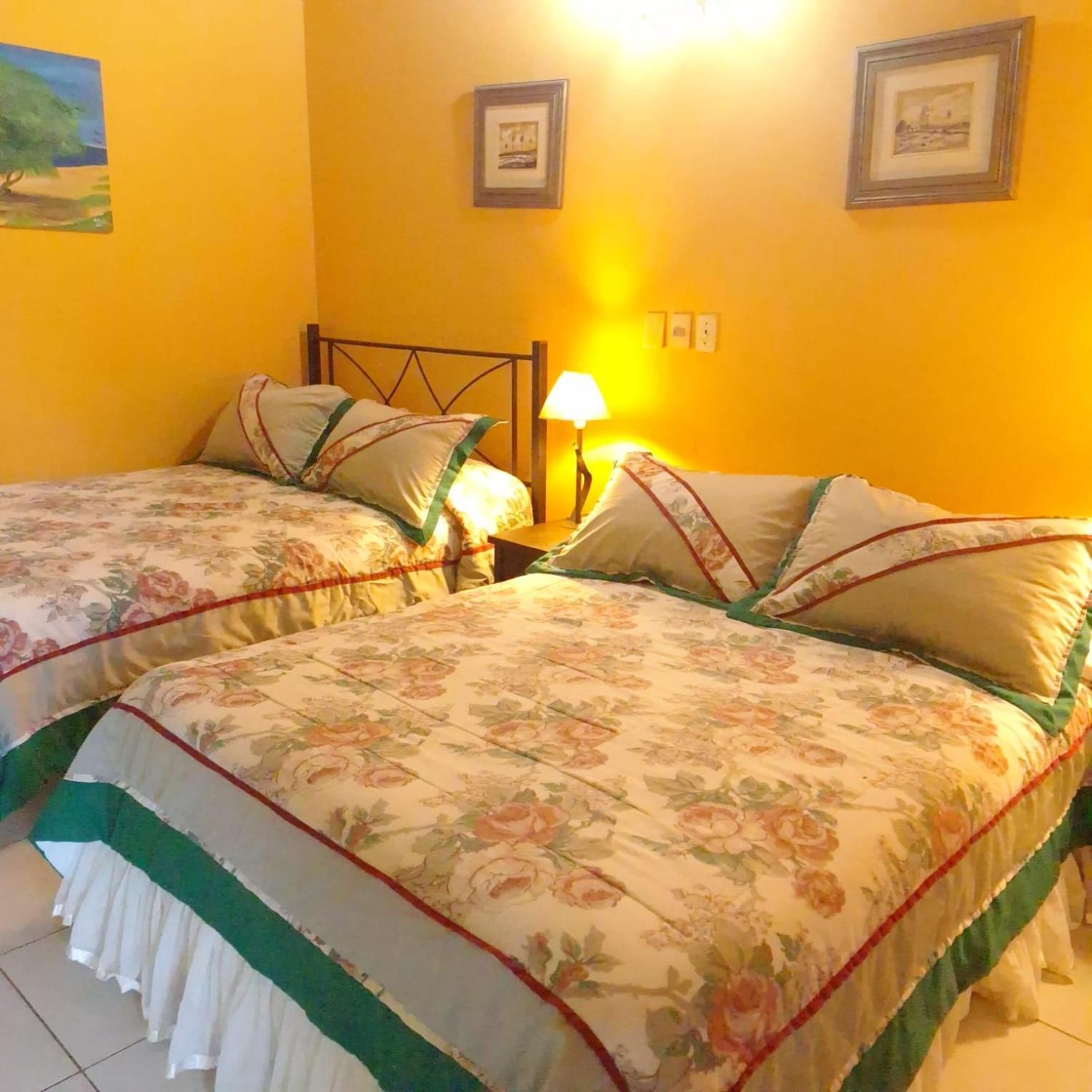 Hotel Santo Domingo Asuncion Dış mekan fotoğraf